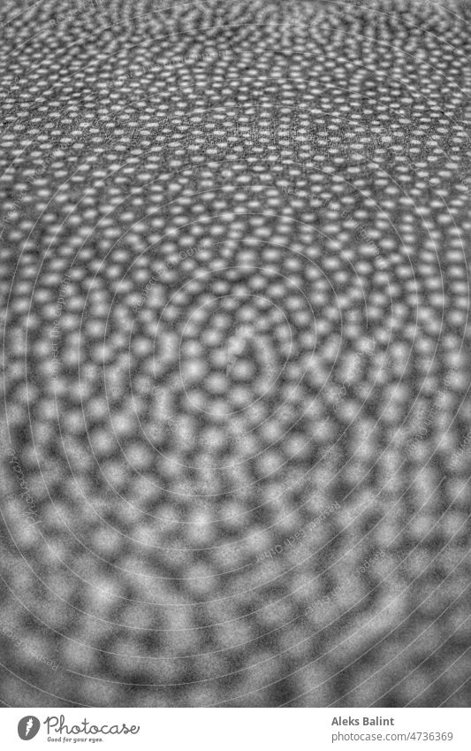 Many points, sharp and blurred in black and white black-and-white B/W Black & white photo Pattern tart blurriness