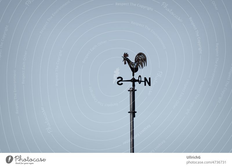 Weather vane in the shape of a rooster and wind directions on a roof. Weathercock Rooster Flag Wind direction Wind rose Compass point crow North South East West