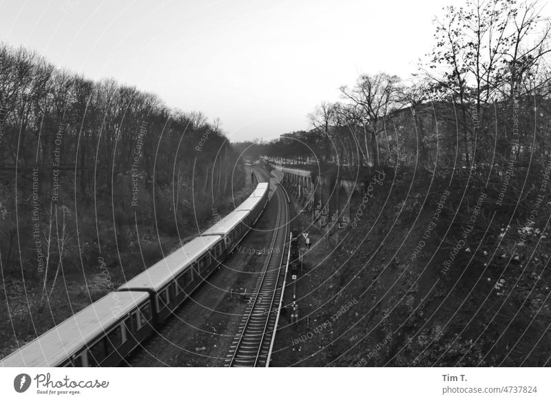 a suburban train runs through the Humboldthain Commuter trains b/w Humboldt Grove Berlin Black & white photo Town Exterior shot Deserted Capital city