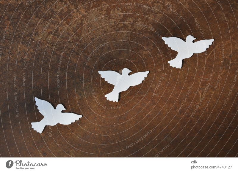 Doves of Peace for Ukraine | Liberty, Equality, Fraternity (Brotherhood) 3 peace doves Dove of peace Pigeon white doves White Brown rusty Rust Contrast