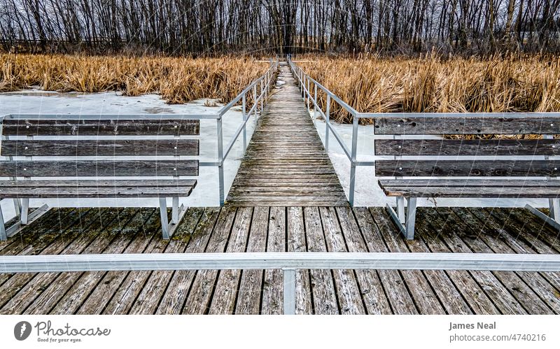 Looking from this bridge signs of spring shows autumn color peaceful nature water ecology meadow lake background snow trees dock scenic footbridge environment