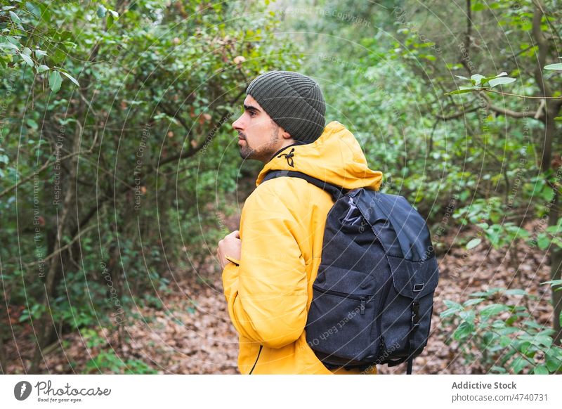 Man in hat walking in forest man hiker nature trekking tree journey backpack explore trip woods activity adventure beard male explorer environment serious