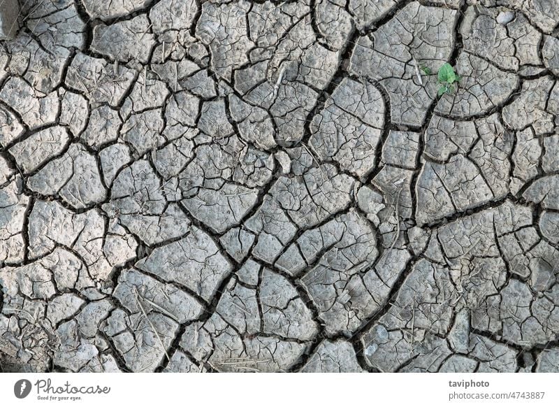 dry earth texture abstract agriculture arid backdrop background barren broken brown clay climate close-up closeup crack cracked damage dead desert detail dirt