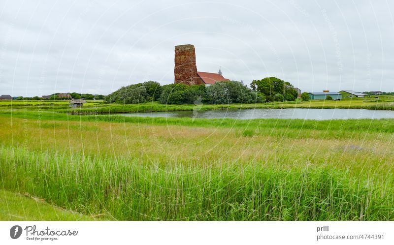 Old Church at Pellworm old church st salvator pellworm north frisia germany northern germany building architecture landmark tower steeple ruin paddock meadow