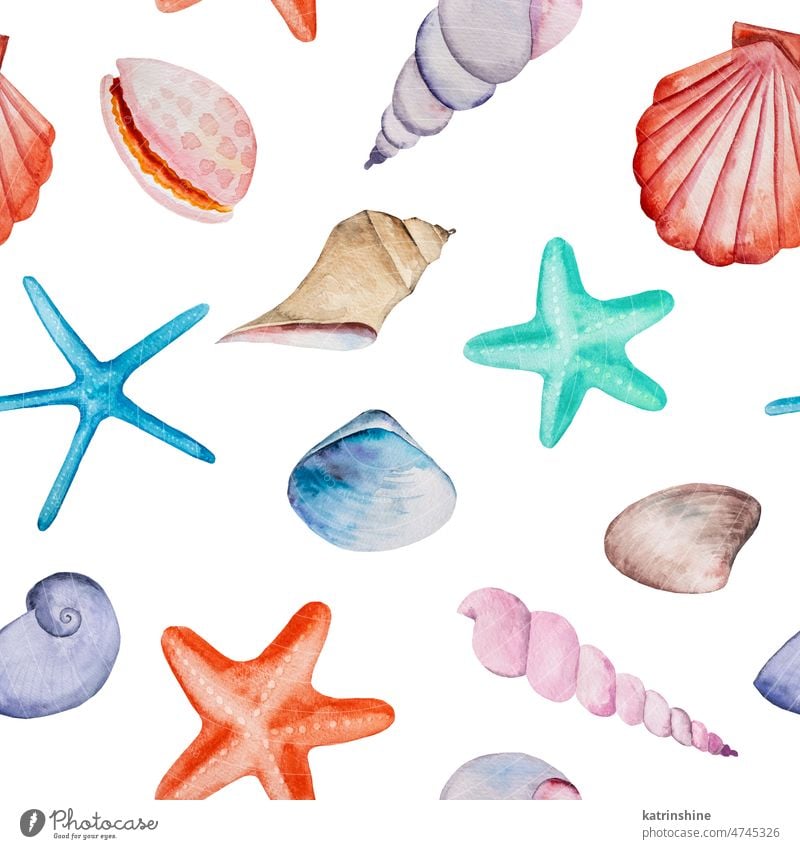 Watercolor seamless pattern with seashells and starfishes Illustration Decoration Drawing Element Exotic Hand drawn Holiday Isolated Nature Set Summer Vacation