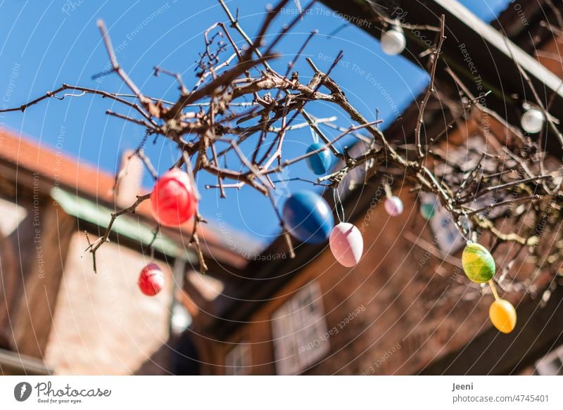 colorful Easter eggs variegated Hang Sky Blue branches Tradition Spring Decoration Feasts & Celebrations Egg Multicoloured