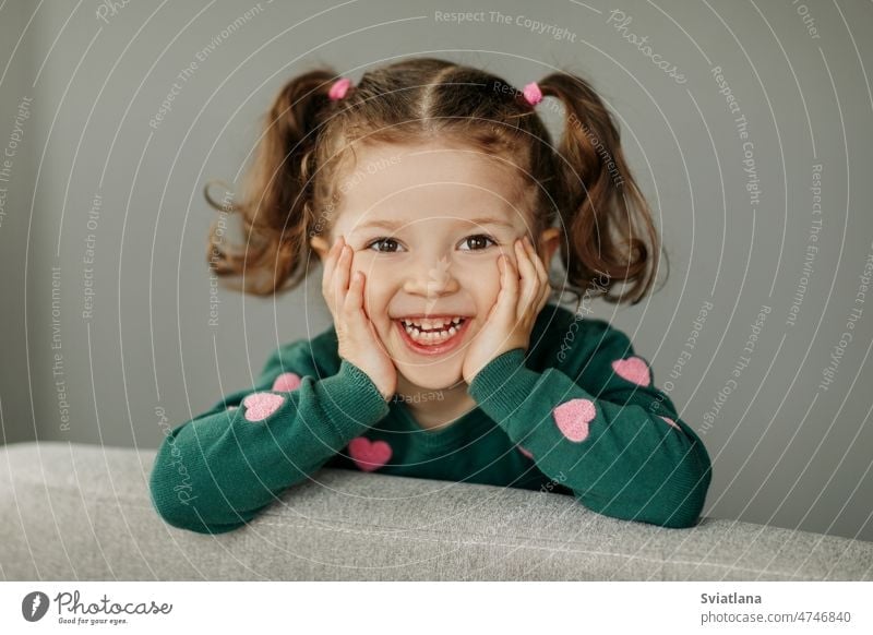 Portrait of a charming little girl with two ponytails, joyful and smiling child cute portrait baby fun background kid happy pretty expression person childhood