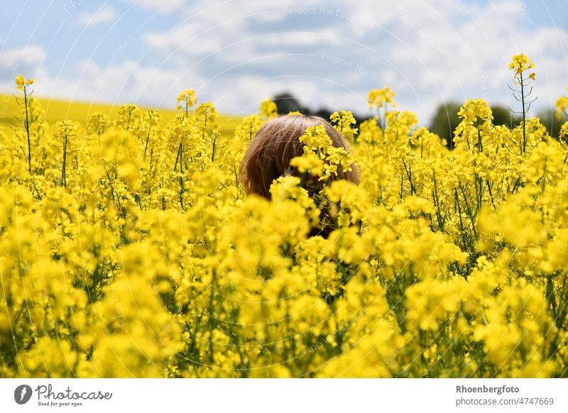 Not for allergy sufferers: A woman in a very high rapeseed field Canola Canola field Tall blossoms RAPE FLOWERS Blossoming Yellow Field Summer brassica napus