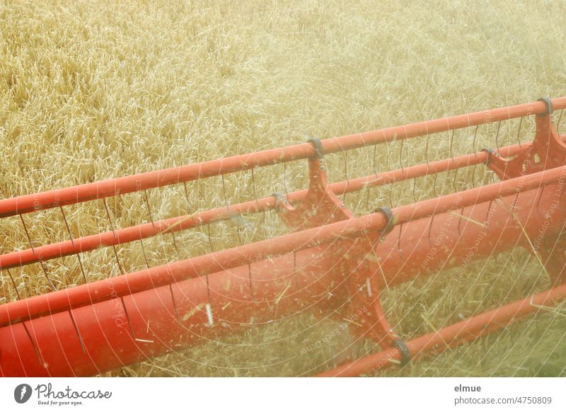 rotating reel of the cutterbar of a combine harvester during mowing of barley / grain prices Combine Reel Cutting unit Grain prices Barley mares Field