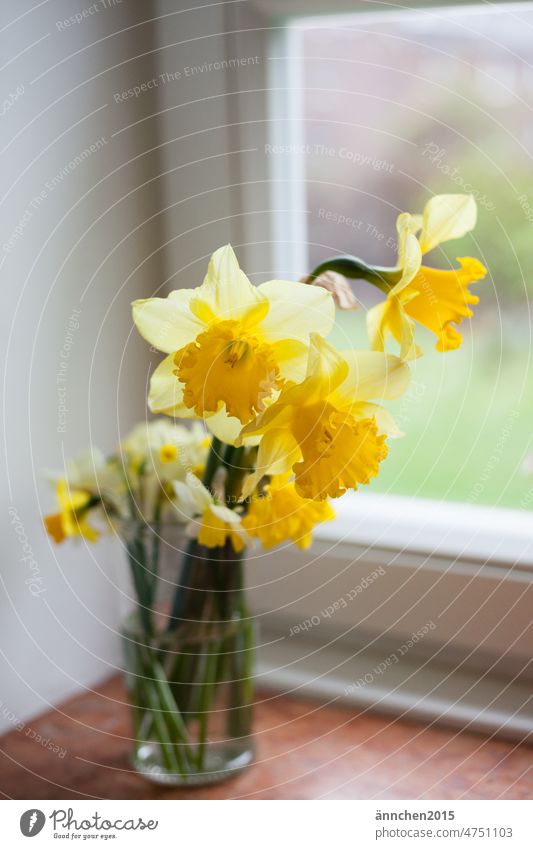 A small bouquet of yellow daffodils stands in a glass vase on the window sill White Green Bouquet Gift Garden Spring flower Spring fever Close-up Colour photo