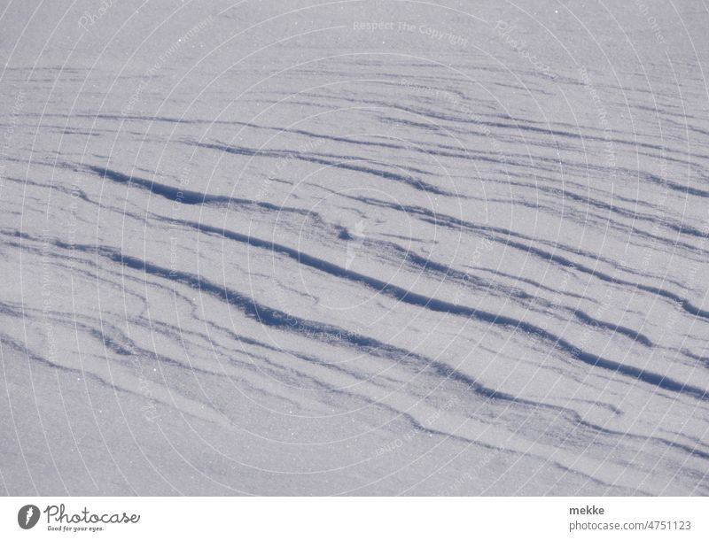 Fine wave structures on a snow cover Snow Snow layer Waves Structures and shapes Winter Drift White Cold Untouched lines Winter mood Snowscape Winter's day