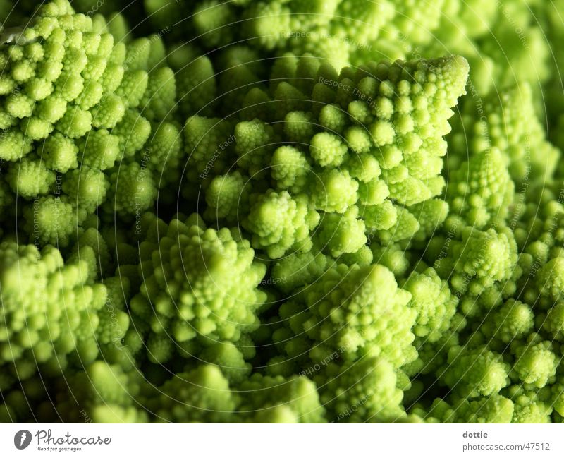 Romanesco Crater 1 Cauliflower Broccoli Green Cabbage Macro (Extreme close-up) Vegetable Point