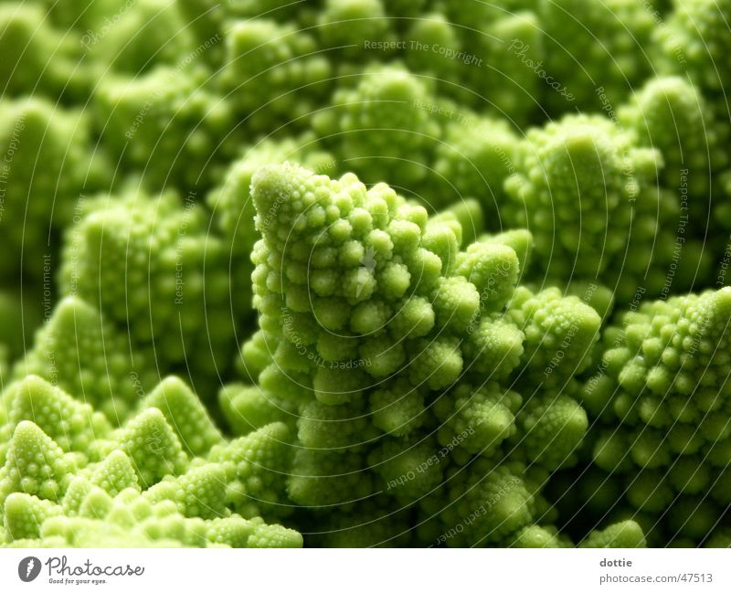 Romanesco Crater 2 Cauliflower Broccoli Green Cabbage Macro (Extreme close-up) Vegetable Point