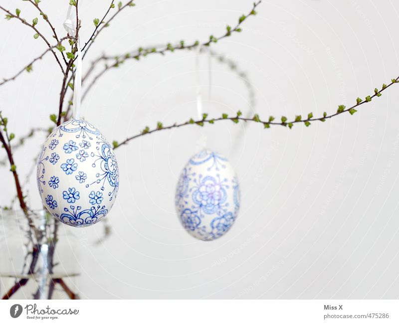 Easter egg Feasts & Celebrations Hang Blue White Blue-white Delicate Fragile Branch Twig Bud Leaf bud Painted Decoration Easter decoration Flowery pattern