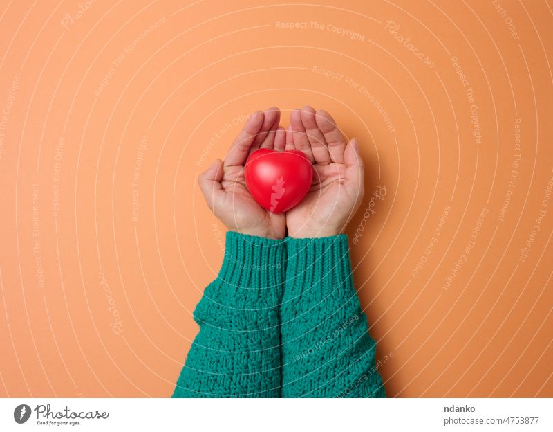 female hands holds red heart, orange background. Love and donation concept care caucasian charity day donate donor february gift give giving happy health