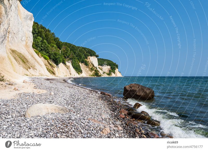 Chalk cliffs on the coast of the Baltic Sea on the island of Rügen Limestone rock Baltic coast Ocean Tree steep coast foundling Stone Rock Sky Clouds Blue