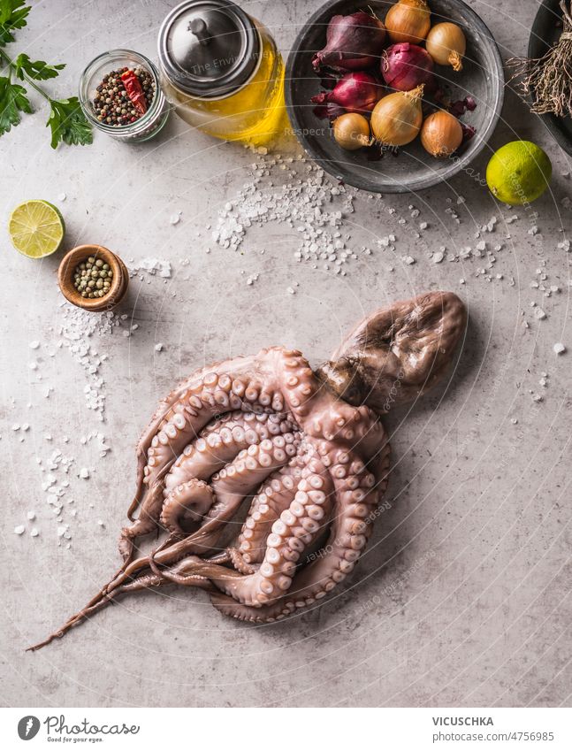 Whole raw octopus at concrete table background with flavorful ingredients whole salt pepper olive oil lime onion herbs preparing fresh seafood home top view