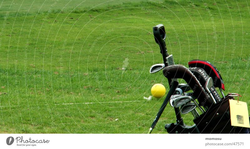 ...alone in the green Green Meadow Golf Lawn putter Ball Detail