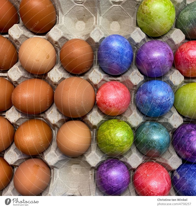 colorful Easter eggs next to natural brown chicken eggs Decoration variegated Multicoloured Feasts & Celebrations Chicken eggs Tradition colorful eggs