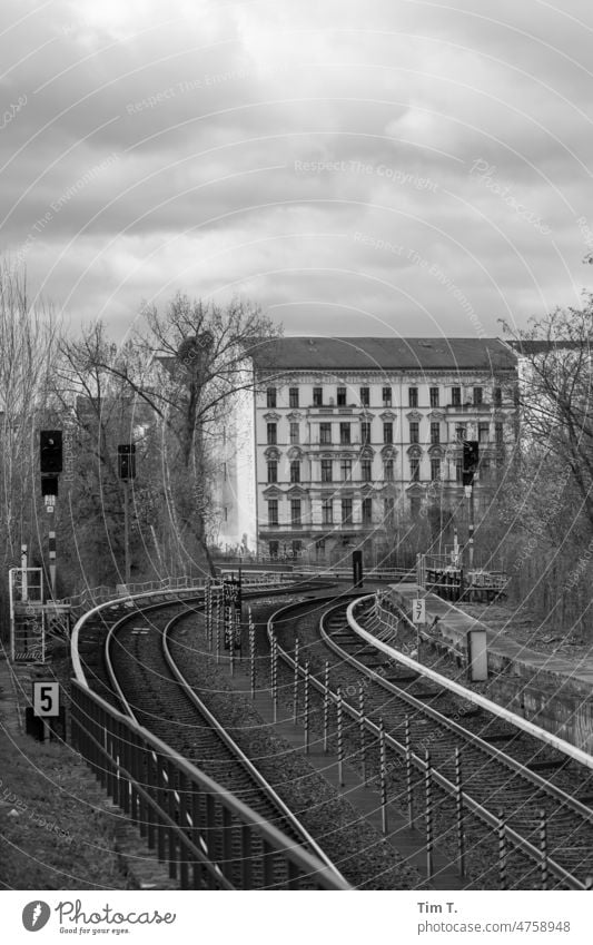 Light rail tracks through the city Berlin b/w Spring Commuter trains Town Exterior shot Deserted Black & white photo Capital city Day Downtown Architecture