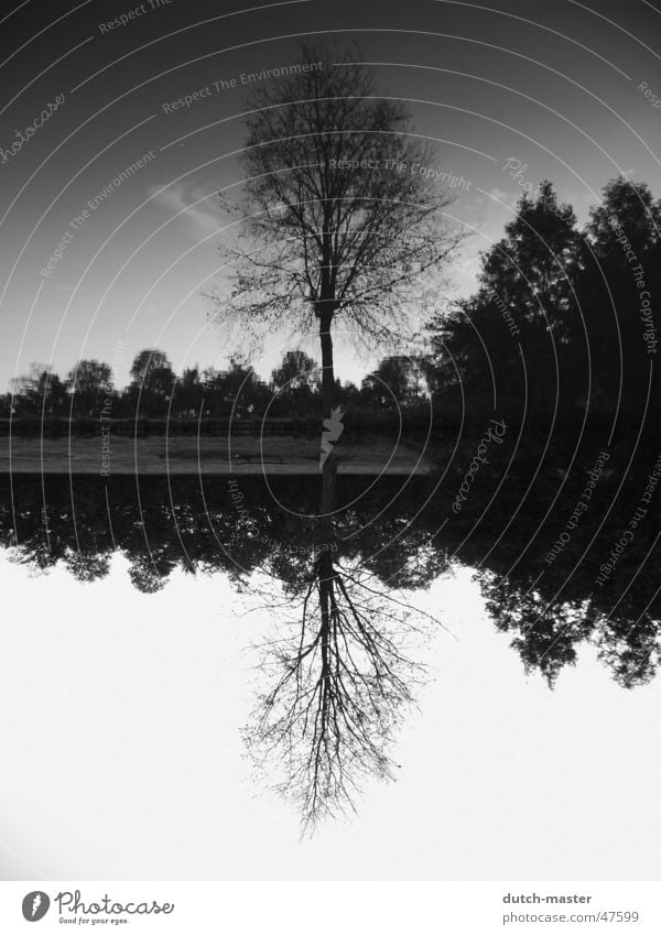Around what? Mirror Tree Photography Summer Netherlands Lake Black White Brook Water mirror image River inversely Sky