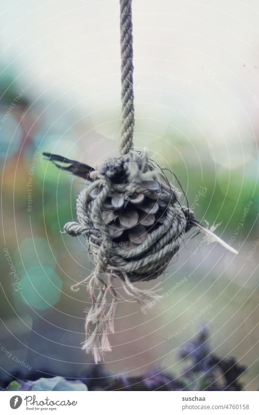 feather with fir branch as bird deterrent Nature Garden bird fright Feather Fir branch cord quaint Exterior shot Shallow depth of field Rope