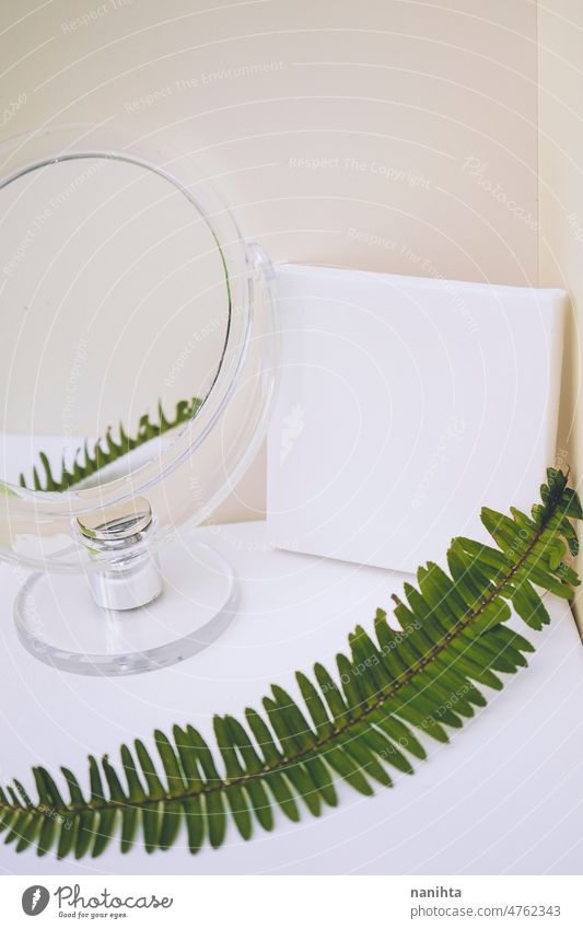 Clean and natural mockup in green and neutral tones mock up canvas leaf fern clean white blanket negative space copy space mirror reflection composition design