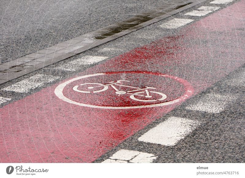 red marked, rain wet and with a white bicycle - pictogram bicycle path over a road / danger zone / road marking Cycling Rain Pictogram Street Wheel rainwater