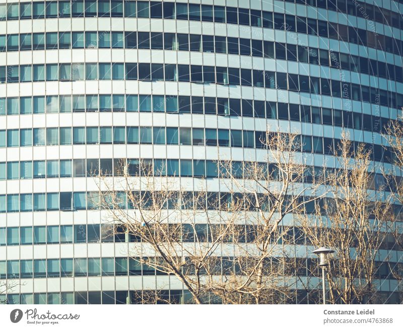 Multi-storey office building with a large window front Office Office work Window Window pane Workplace Work and employment Building Architecture Town