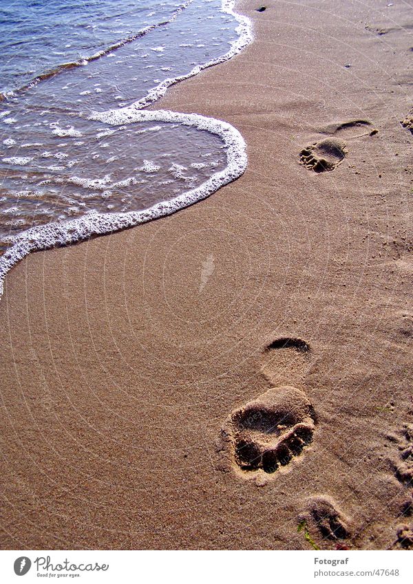 footsteps Stride Beach Tracks Footprint Going Summer Brown Feet Water Walking Pistil Sand Swimming & Bathing Sun Barefoot