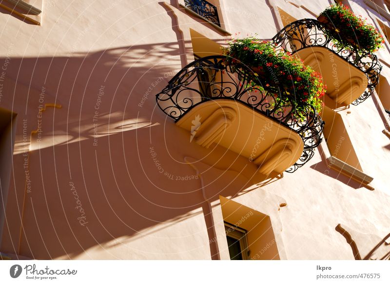 old wall and flower terrace in the centre of city lugano Vacation & Travel Trip Plant Flower Village Town Architecture Facade Balcony Terrace Monument Concrete