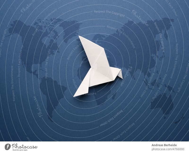 White origami dove on a blue paper background world peace Peace Freedom Global Blue Pigeon Love Trust Hope Colour Transformation concept Together Life