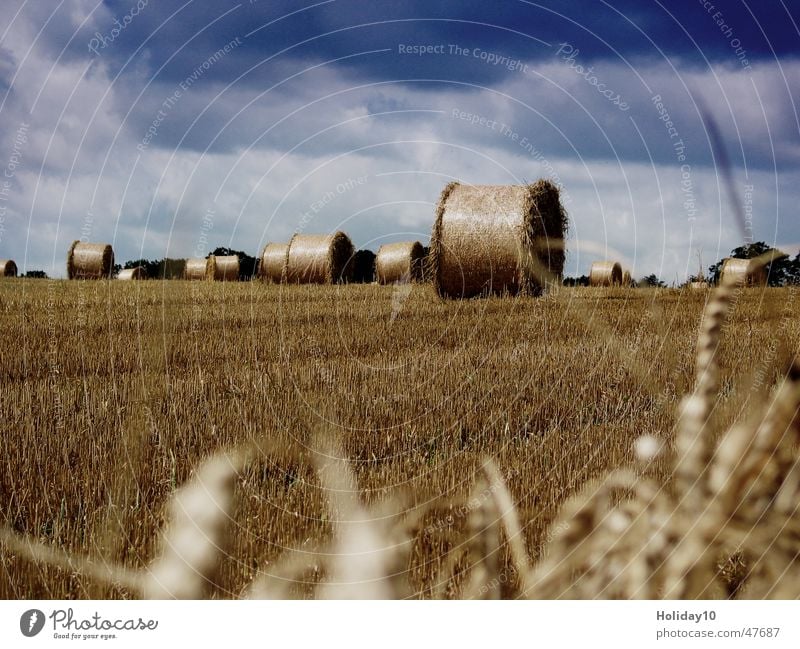 Harvest 2005 Straw Field Rügen Round Clouds in the sky Stubble field Blade of grass Background picture Bale of straw Landscape