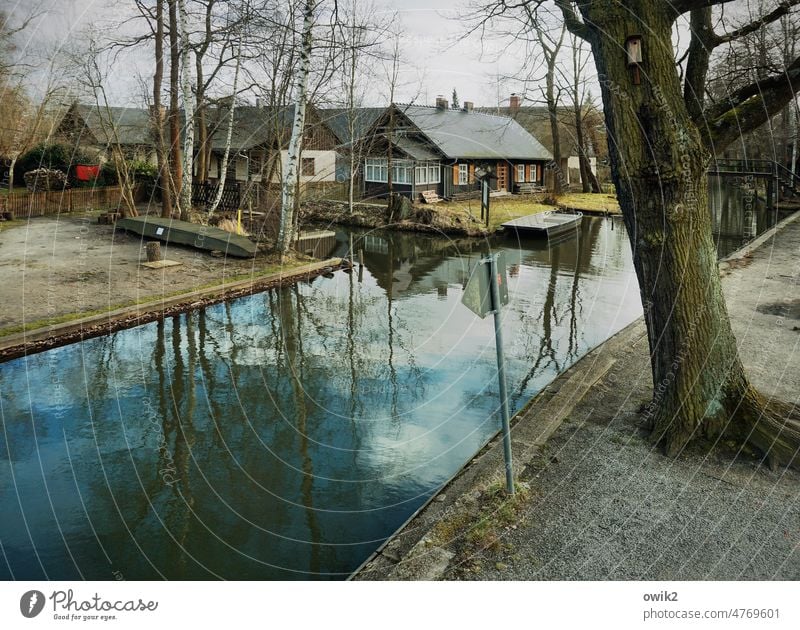 Living where others go on vacation loam Spreewald there Channel Idyll Water Waterway Village idyll Peaceful Rural Simple Bushes River bank Shore line