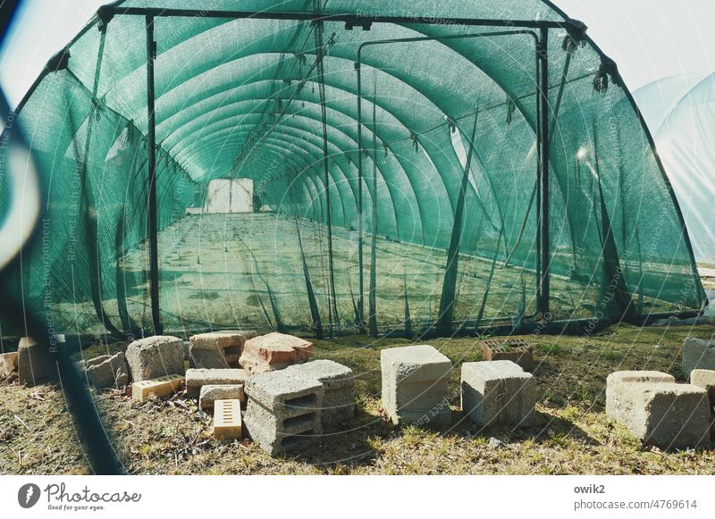 garden hose Greenhouse Market garden Old Decline Transience lost places Derelict Loneliness Colour photo Deserted Detail Exterior shot tarpaulin Opening Insight