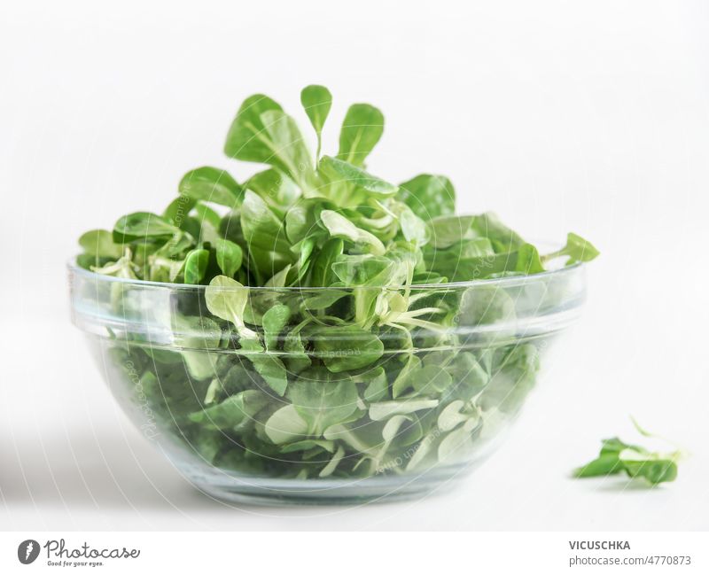 Green salad leaves in glass bowl at white background. Healthy food. green healthy food front view fresh freshness home ingredient lettuce lunch natural