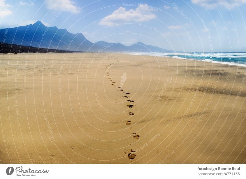 Footprints on the wide beach of Cofete on the west coast of Fuerteventura Canary Islands Spain ferocity Atlantic Ocean Beach Sand Tracks Wind Waves ocean Surf