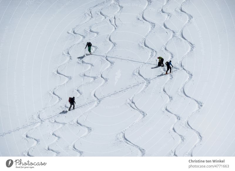 Tourers off the ski slope cross several downhill tracks during the ascent tourers Ski tour 4 people off piste Joy Happy Winter sports Snow Mountain Alps Skiing