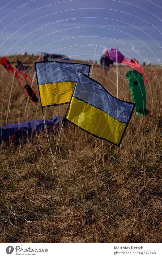 Solidarity Ukraine Ukraine war Ukrainian flag War Politics and state Freedom Peace Humanity Sign Peace Wish Hope Symbols and metaphors Blue Human rights Yellow