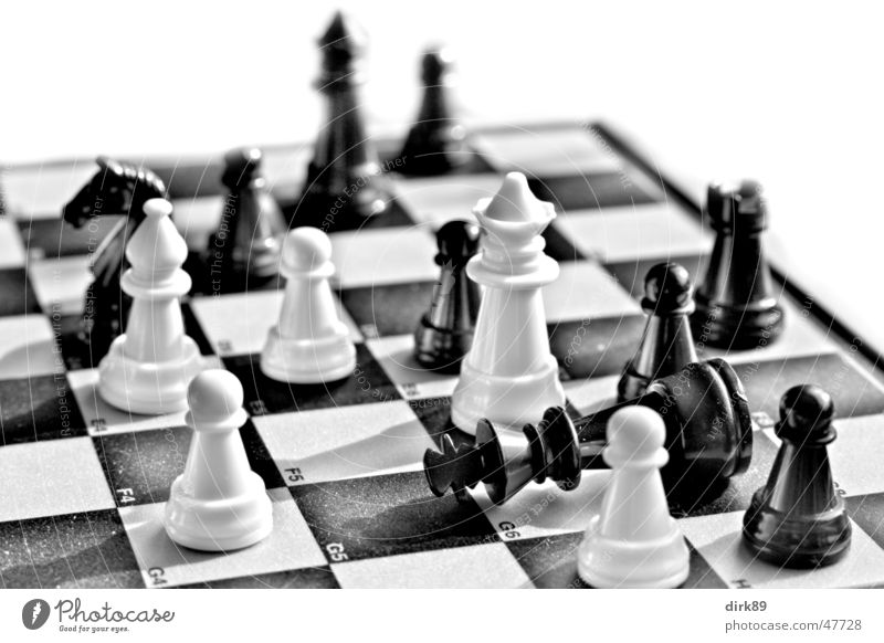 Most Powerful Chess Piece Stock Photos - Free & Royalty-Free Stock