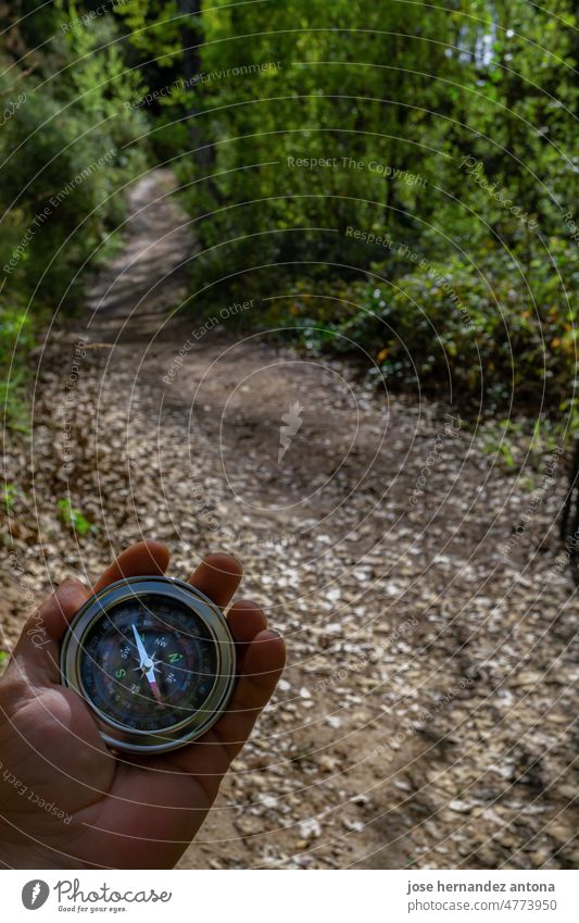man's hand holding a compass in the forest person direction navigation position search way magnetic exploration hiking trekking journey guide traveler