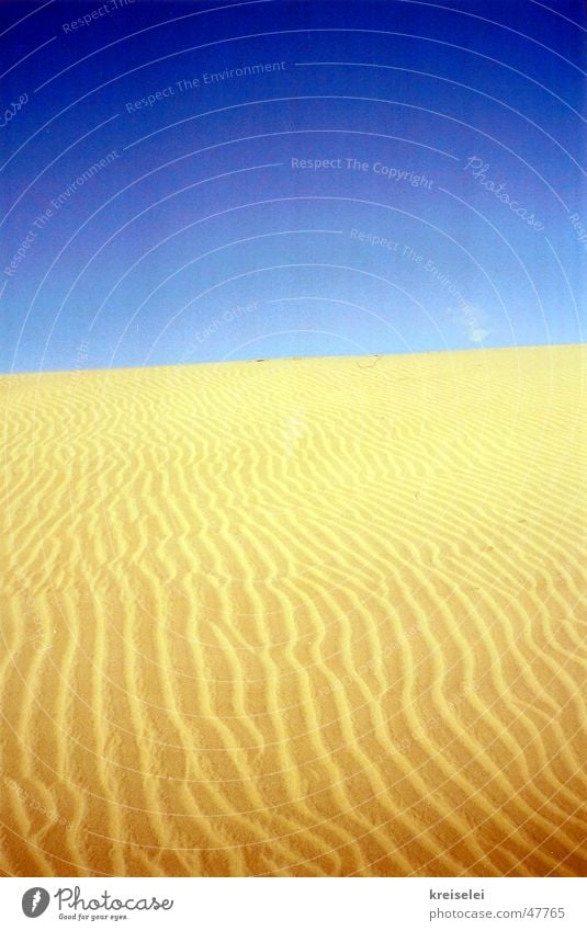 desert yellow Physics Desert Sand Sky Blue Structures and shapes Warmth