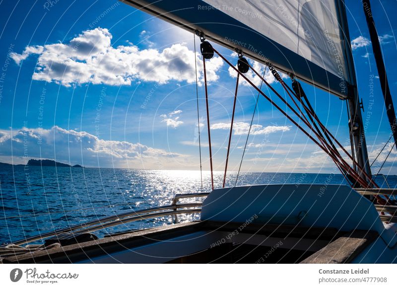 Sailboat on the sea with horizon in background Sailing Ocean Water Vacation & Travel Sky Summer Freedom Navigation Yacht Sailing ship Boating trip Exterior shot