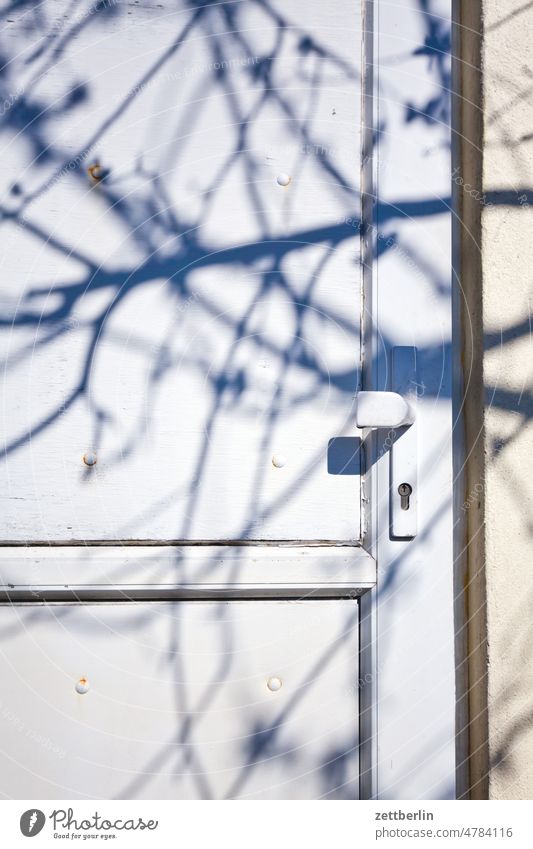 Shed door with shadow Goal Entrance Access Knob Doorknob Lock Closed locked White Flake Small room Shadow Tree Branch Twig Apple tree Spring spring Sun Sunlight