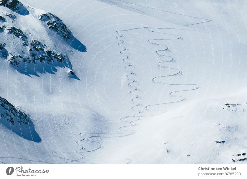 filigree | the ski tracks in deep snow appear from a distance tracks in the snow Deep snow Skiing Skiing off piste Ski-run bows even deep snow skiing Winter