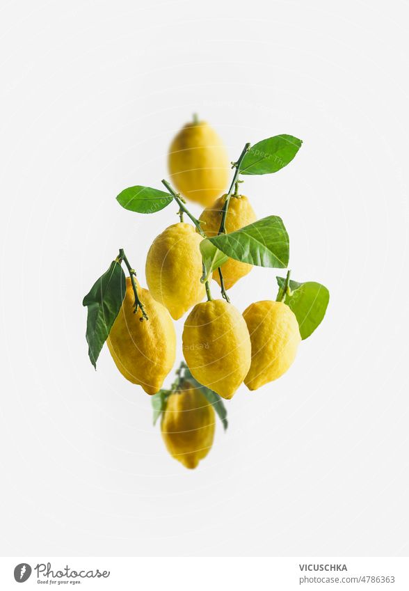 Yellow lemons group with green leaves , flying at white background yellow levitation concept fresh citrus fruits vitamin c front view food freshness healthy