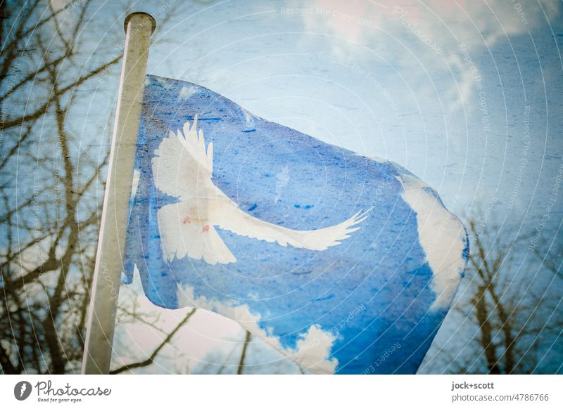 waving flag of peace dove Flag Dove of peace Blow Flagpole Clouds Sky Wind Judder bare trees Double exposure Reaction Blue Beautiful weather Illusion