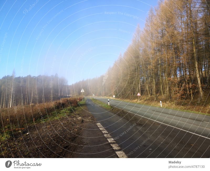 Country road between Oerlinghausen and Bielefeld with blue sky and sunshine after light fog in the Teutoburg Forest in East Westphalia-Lippe Street Wakdsterben