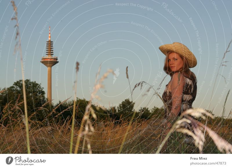 In the steppe of Ginnheim Cowboy Frankfurt Field Meadow Red-haired Woman Sun Park Steppe Western cowgirl ginnheim. Sky Asparagus Hat Television tower