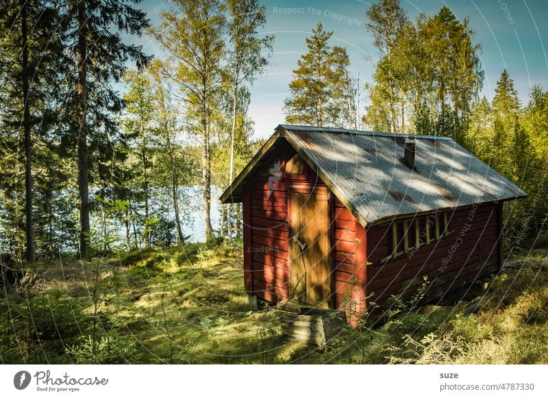 Ett rött hus vid sjön Vacation & Travel House (Residential Structure) Environment Nature Tree Meadow Authentic Green Red Moody Loneliness Idyll Forest Swede